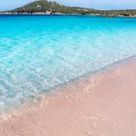 Vacanze La Conia