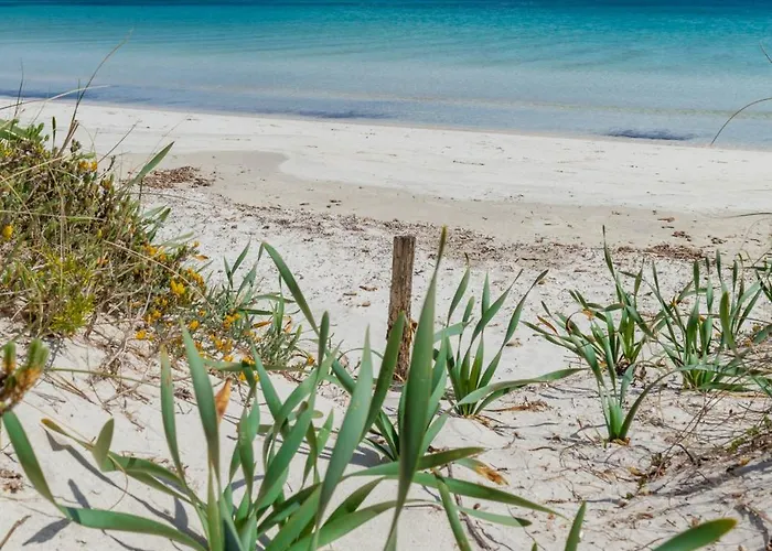 Vacanze La Conia Дом отдыха